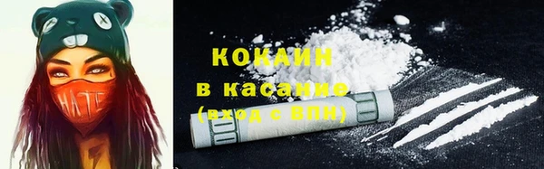 спиды Абаза