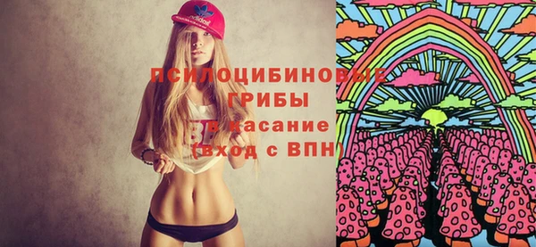 спиды Абаза