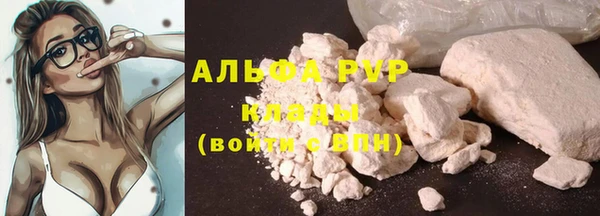 спиды Абаза