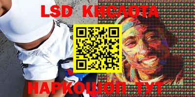 прущие грибы Краснознаменск