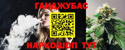 прущие грибы Краснознаменск