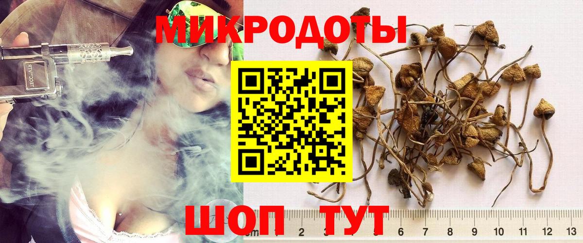 Псилоцибиновые грибы Magic Shrooms Ковров
